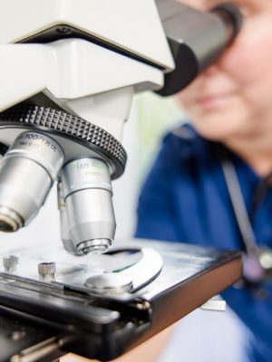 Dr Budde Tierarzt 344A3058