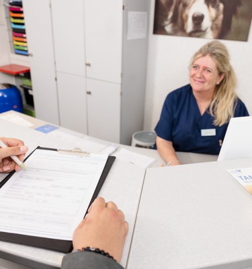 Dr Budde Tierarzt 344A3913